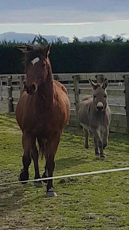 Screenshot_20190831-223626_Video Player.jpg