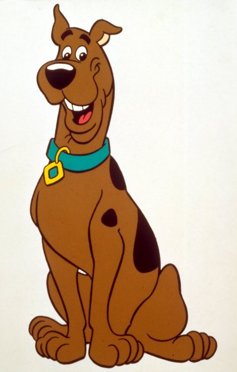 chief scooby.jpg