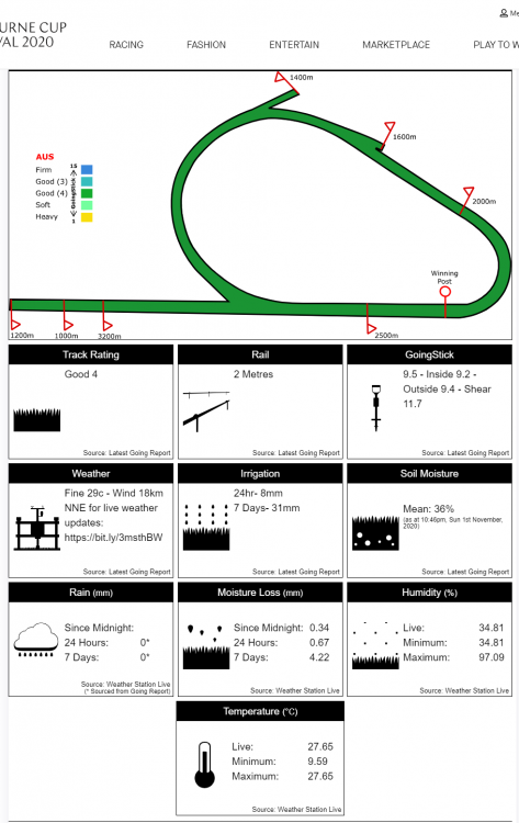 screenshot-www.cupweek2020.com.au-2020.11.02-16_27_44 - Copy.png