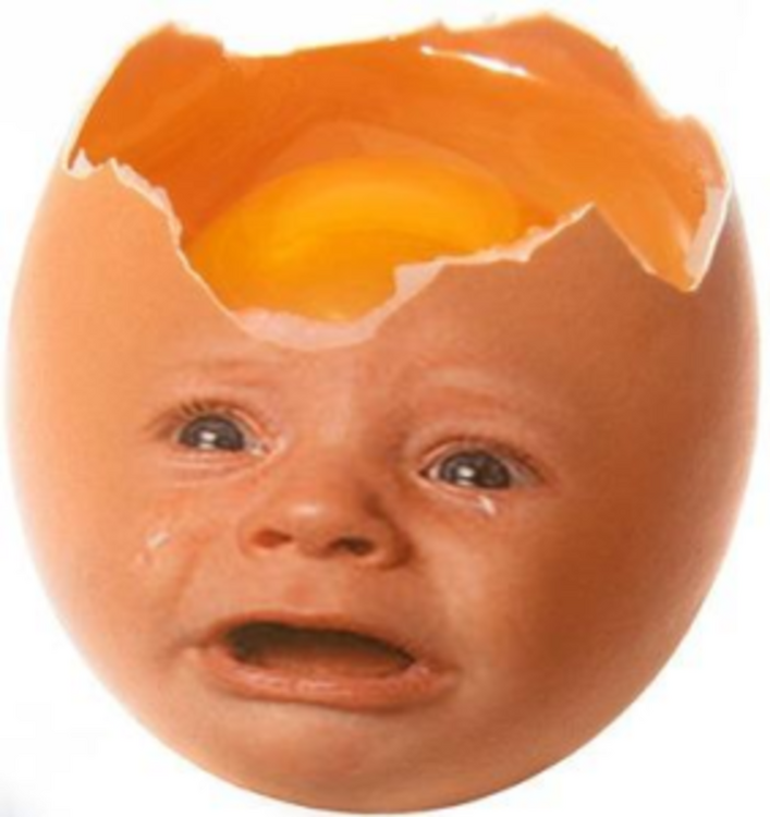 egg.png