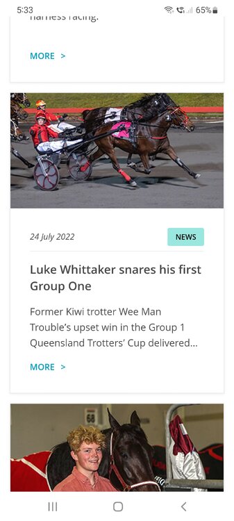 Screenshot_20220726-173353_Samsung Internet.jpg