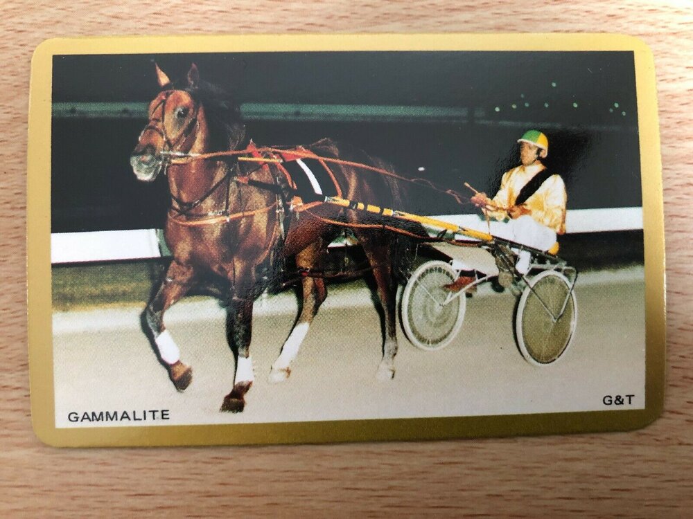 Australian-Gammalite-Racehorse-Trot-Horse-Race-VIN.thumb.jpg.e41d90728d3bef5fb014790994d5faad.jpg