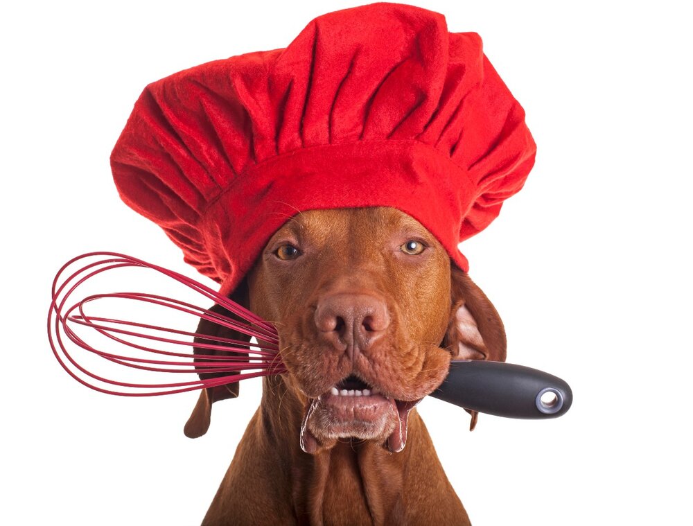 Dog Chef.jpg