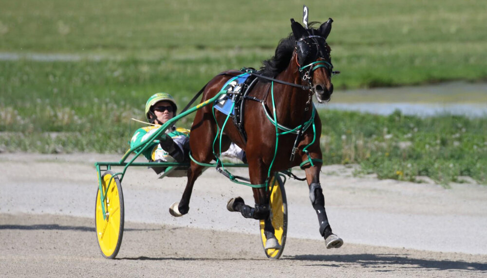 Shartin-N-is-harness-racing.thumb.jpg.79f709f54978aaba71981495e8dd2073.jpg