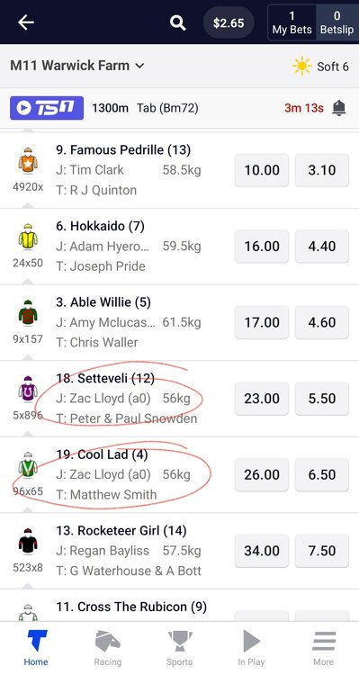 Screenshot_20240522_181712_TAB Mobile.jpg