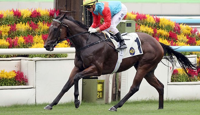 Copyright BOAY - Scooby is an idiot