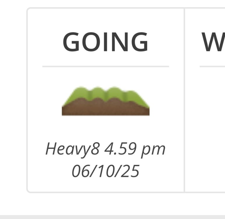 Screenshot_20251007_121240_Samsung Internet.jpg